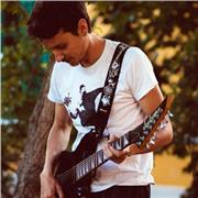 Giovane insegnante con esperienza pluriennale offre lezioni di chitarra e di ukulele a Trieste